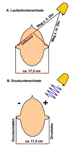 Die Grundprinzipien des stereofonen Hörens.