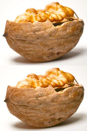 "Walnut"